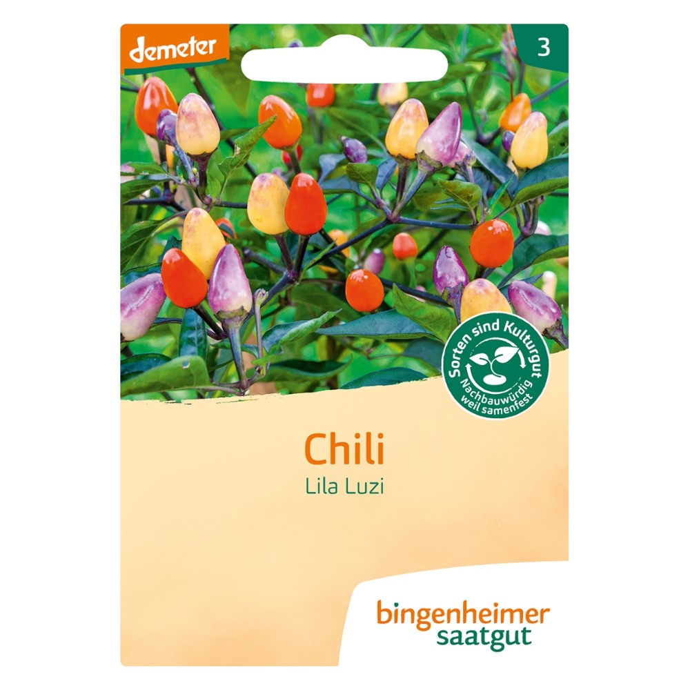 Chili Lila Luzi // Bingenheimer Saatgut