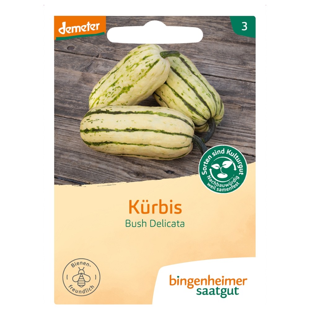 Kürbis Bush Delicata // Bingenheimer Saatgut