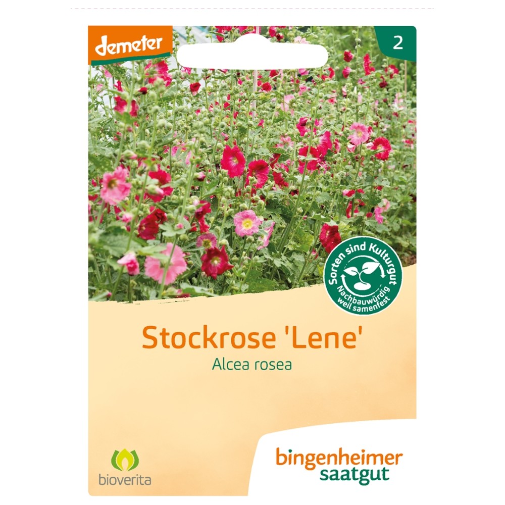 Stockrose Lene // Bingenheimer Saatgut