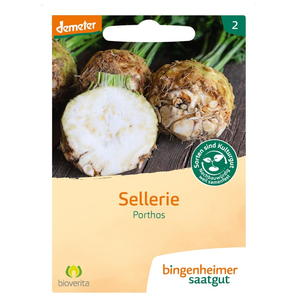 Knollensellerie Porthos // Bingenheimer Saatgut