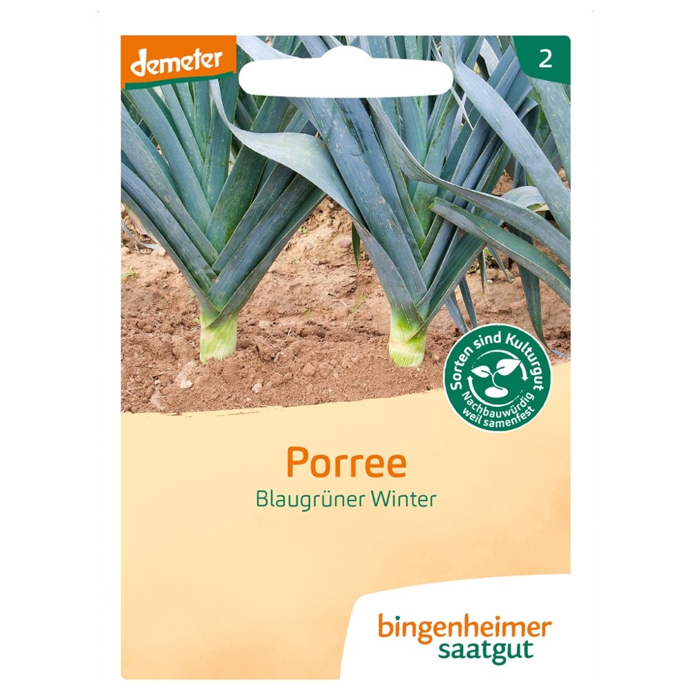 Porree Blaugrüner Winter // Bingenheimer Saatgut