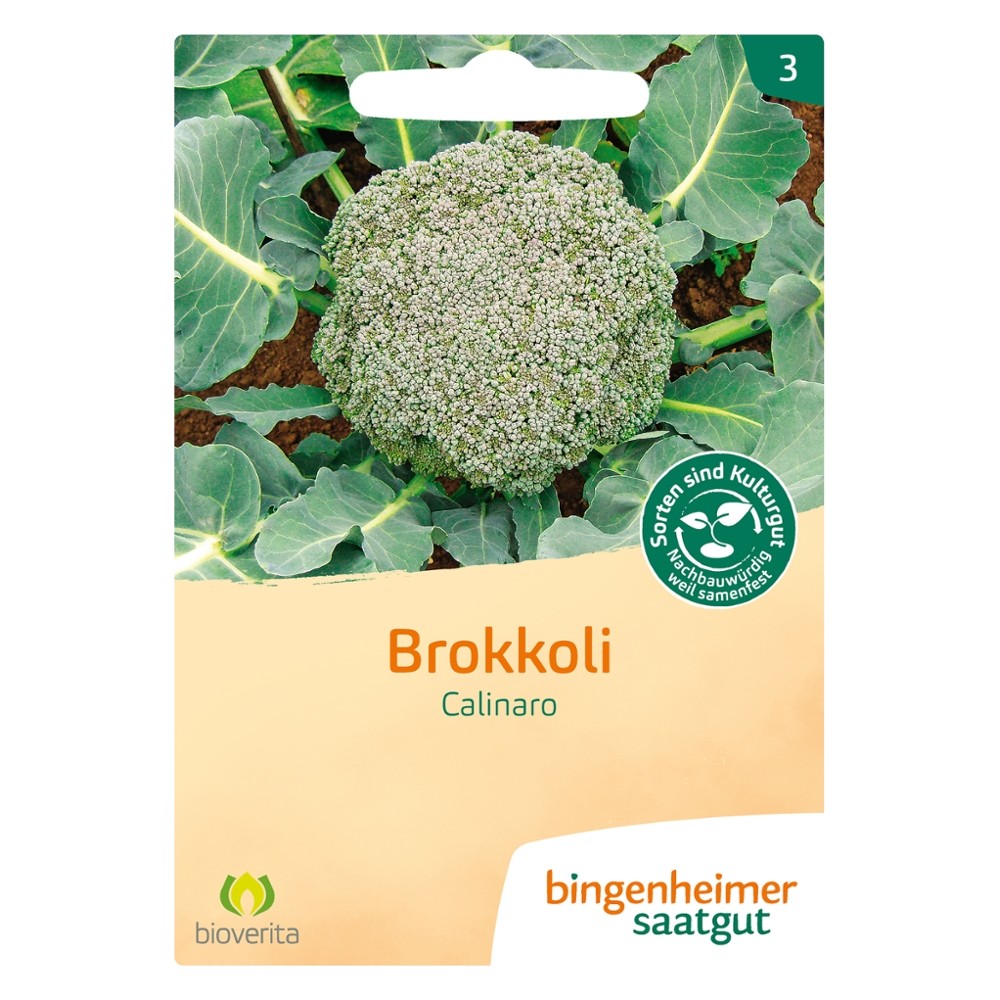Brokkoli Calinaro // Bingenheimer Saatgut