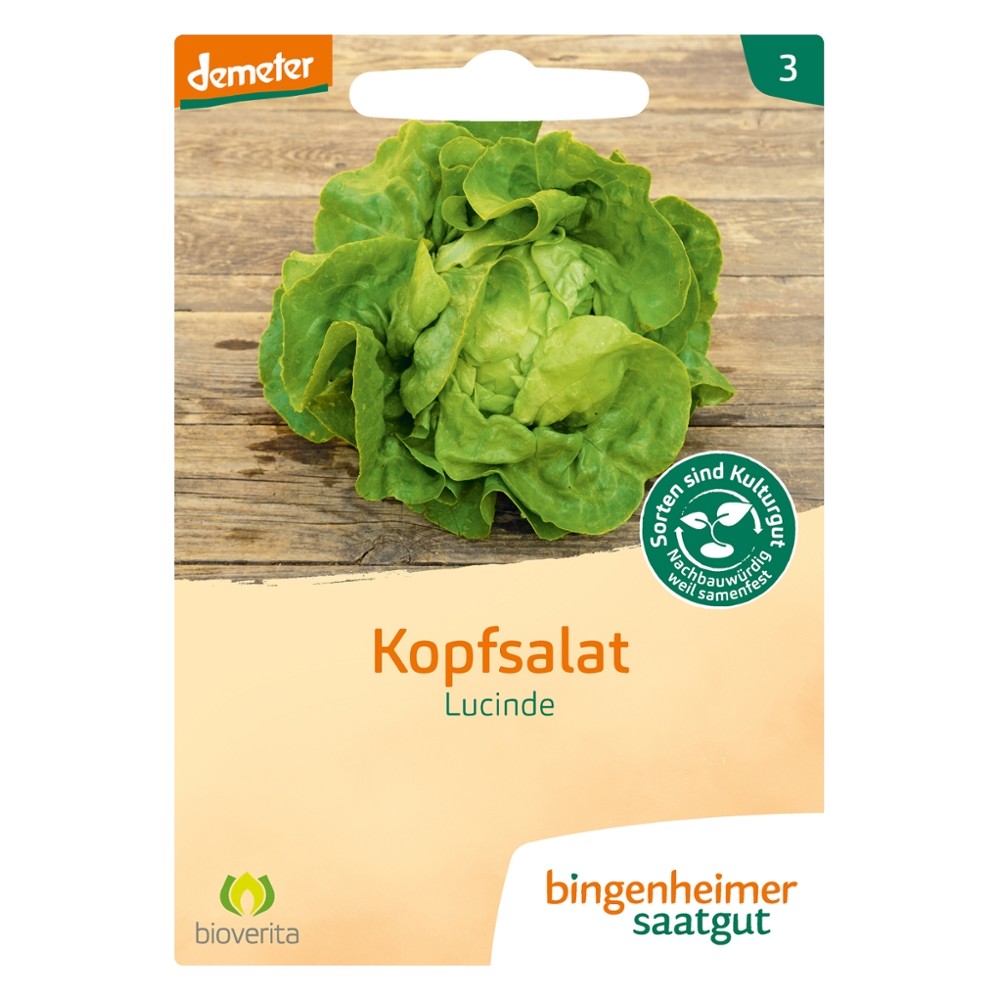 Kopfsalat Lucinde // Bingenheimer Saatgut