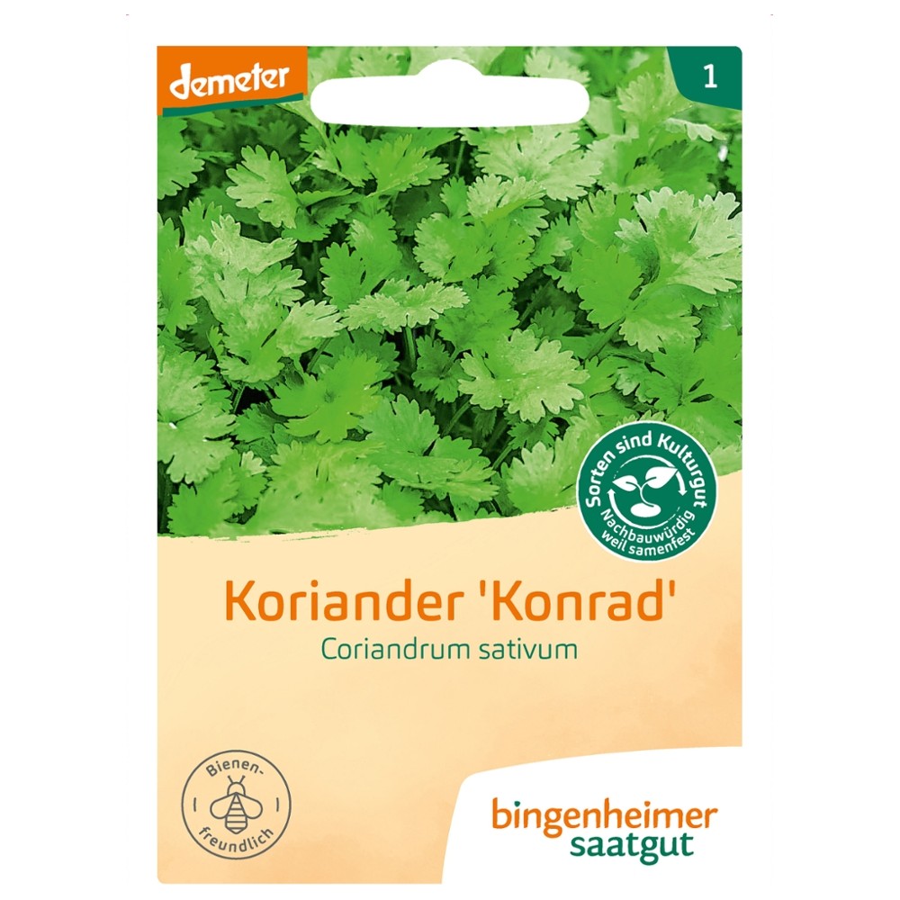 Koriander Konrad // Bingenheimer Saatgut