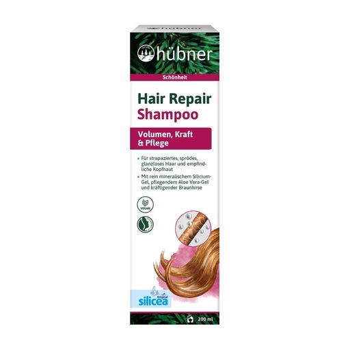 [530683] Hair Repair Shampoo // Hübner