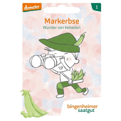 [521739] Garten-Bande - Markerbse Wunder von Kelvedon // Bingenheimer Saatgut