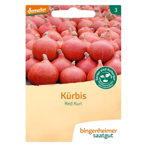 [52114] Kürbis Red Kuri // Bingenheimer Saatgut
