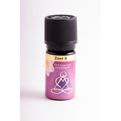 Zimt, B // BERK